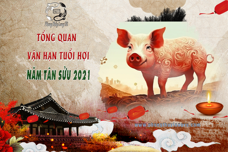 Tổng Quan Vận Hạn Tuổi Hợi - 2021