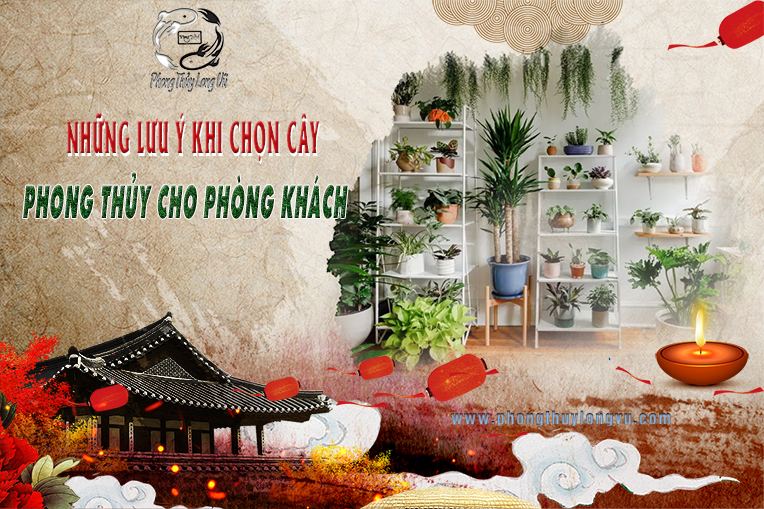 Những Lưu Ý Khi Chọn Cây Phong Thủy Trong Phòng Khách