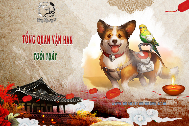 Tổng Quan Vận Hạn Tuổi Tuất - 2021