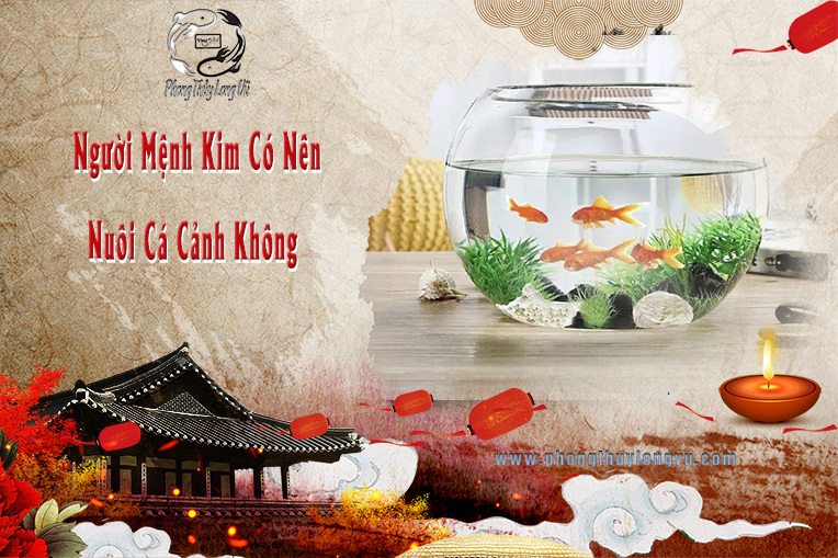 Người Mệnh Kim Có Nên Nuôi Cá Cảnh Không