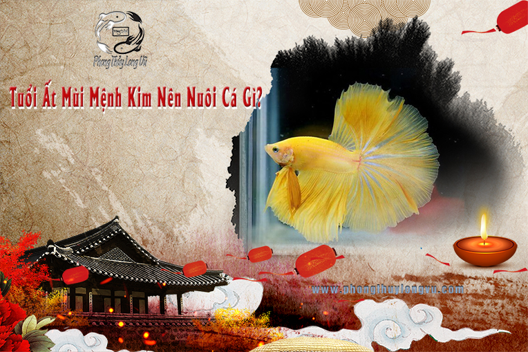 Tuổi Ất Mùi Mệnh Kim Nên Nuôi Cá Gì