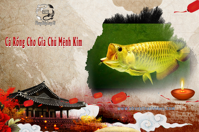 Cá Rồng Cho Gia Chủ Mệnh Kim