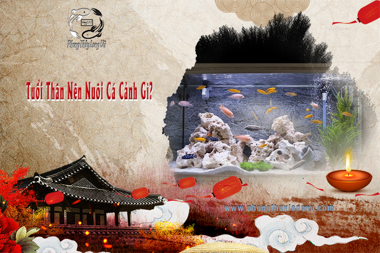 Tuổi Thân Nên Nuôi Cá Cá Cảnh Gì