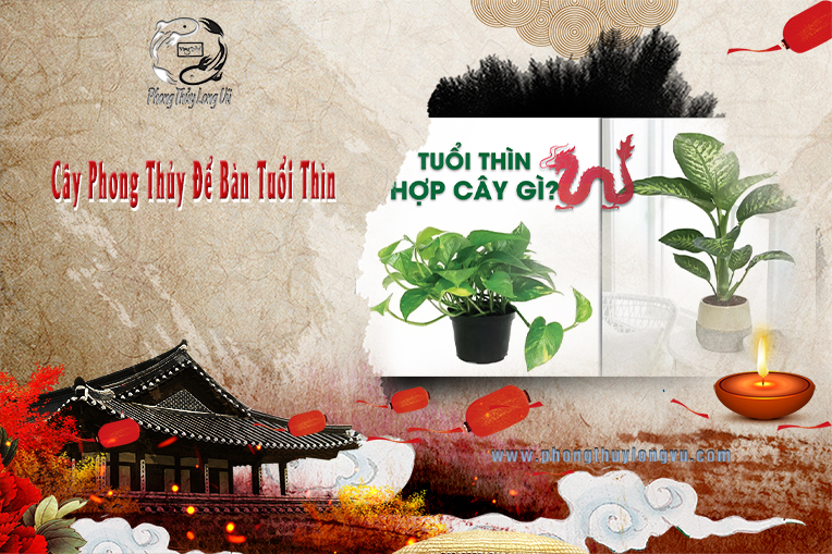 Cây Phong Thủy Để Bàn Tuổi Thìn