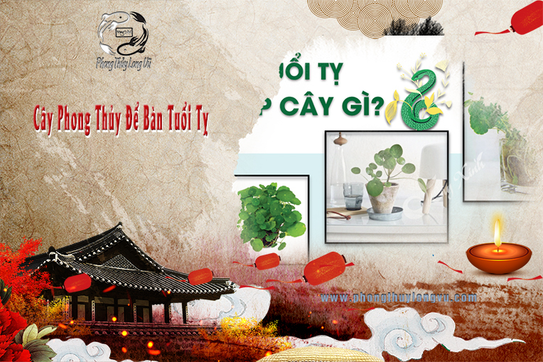 Cây Phong Thủy Tuổi Tỵ