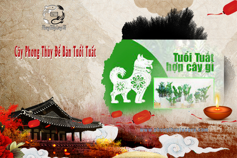 Cây Phong Thủy Tuổi Tuất