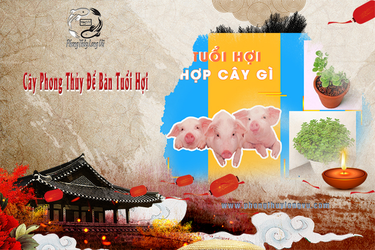 Cây Phong Thủy Tuổi Hợi