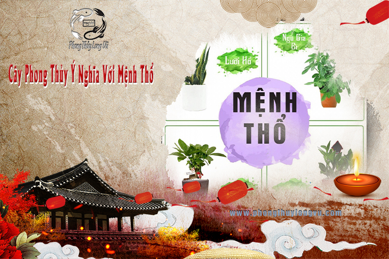 Cây Phong Thủy Ý Nghĩa Với Mệnh Thổ