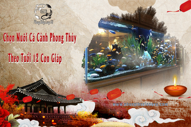 Chọn Nuôi Cá Cảnh Phong Thủy Theo Tuổi 12 Con Giáp