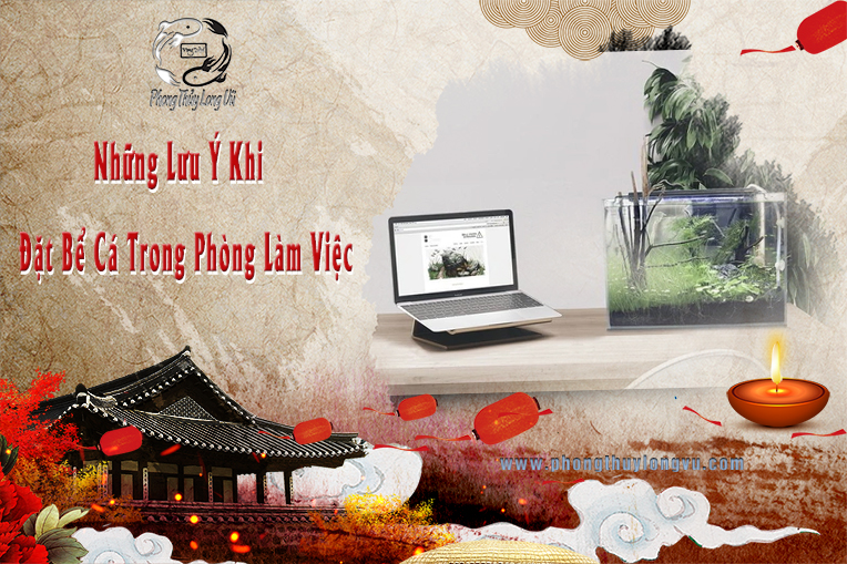 Những Lưu Ý Khi Đặt Bể Cá Trong Phòng Làm Việc