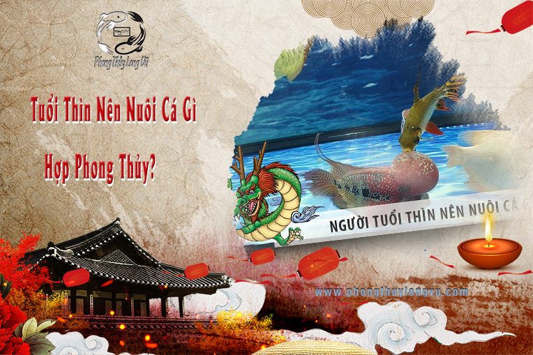 Tuổi Thìn Nên Nuôi Cá Phong Thủy Nào