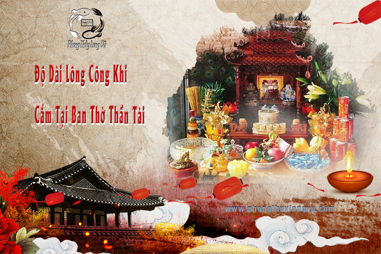 Độ Dài Lông Công Khi Cắm Tại Ban Thờ Thần Tài